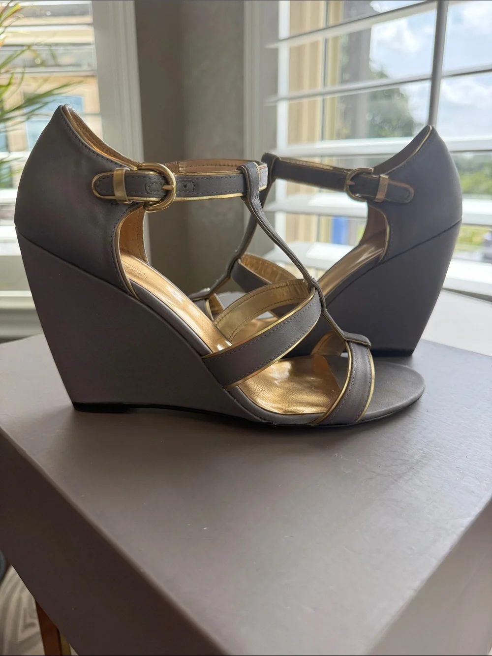 Coach stylish women